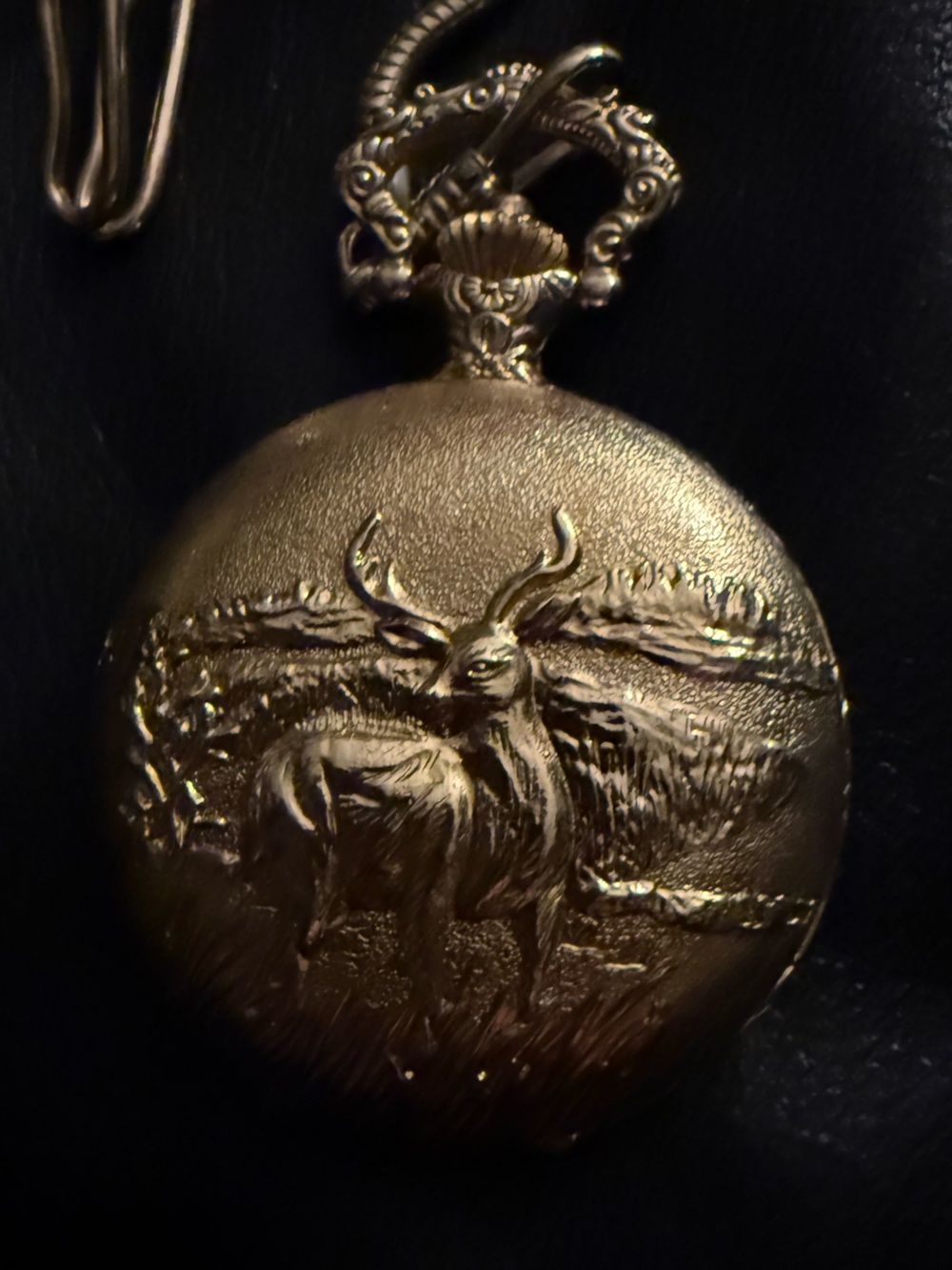Cariole Vintage 45mm Gold-Tone “Buck” Pocket Watch Antimagnetic (not working) - Picture 2 of 5